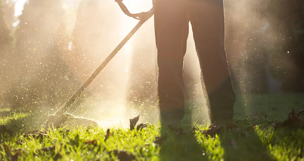 Το πρίν και το μετά