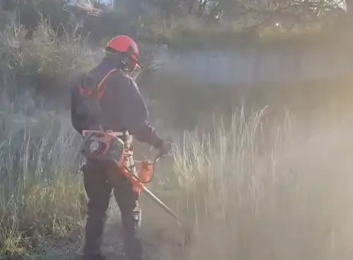 καθαρισμός οικοπέδου